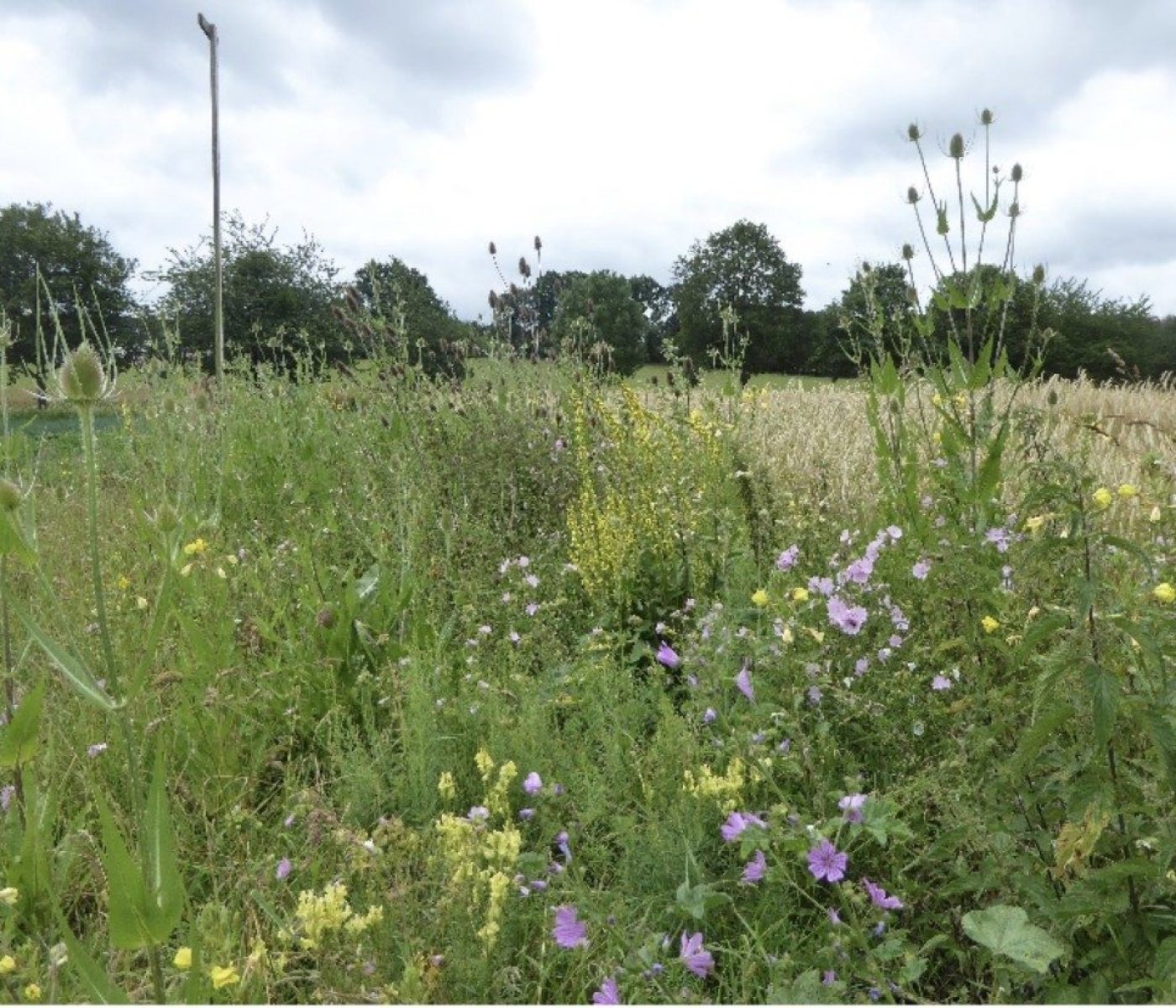 Bildschirmfoto 2025-05-05 um 16.19.43