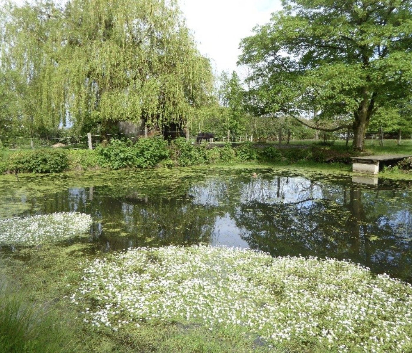 Bildschirmfoto 2025-05-05 um 17.02.22