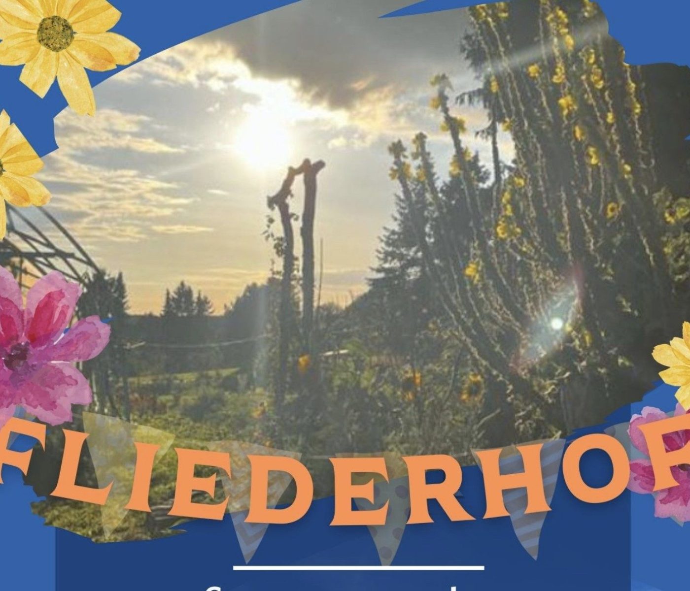 Bildschirmfoto 2025-05-26 um 17.50.30