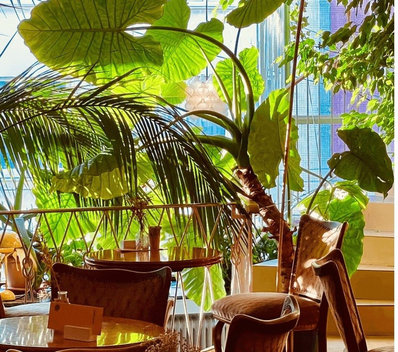 Cafe Leye Begrünung