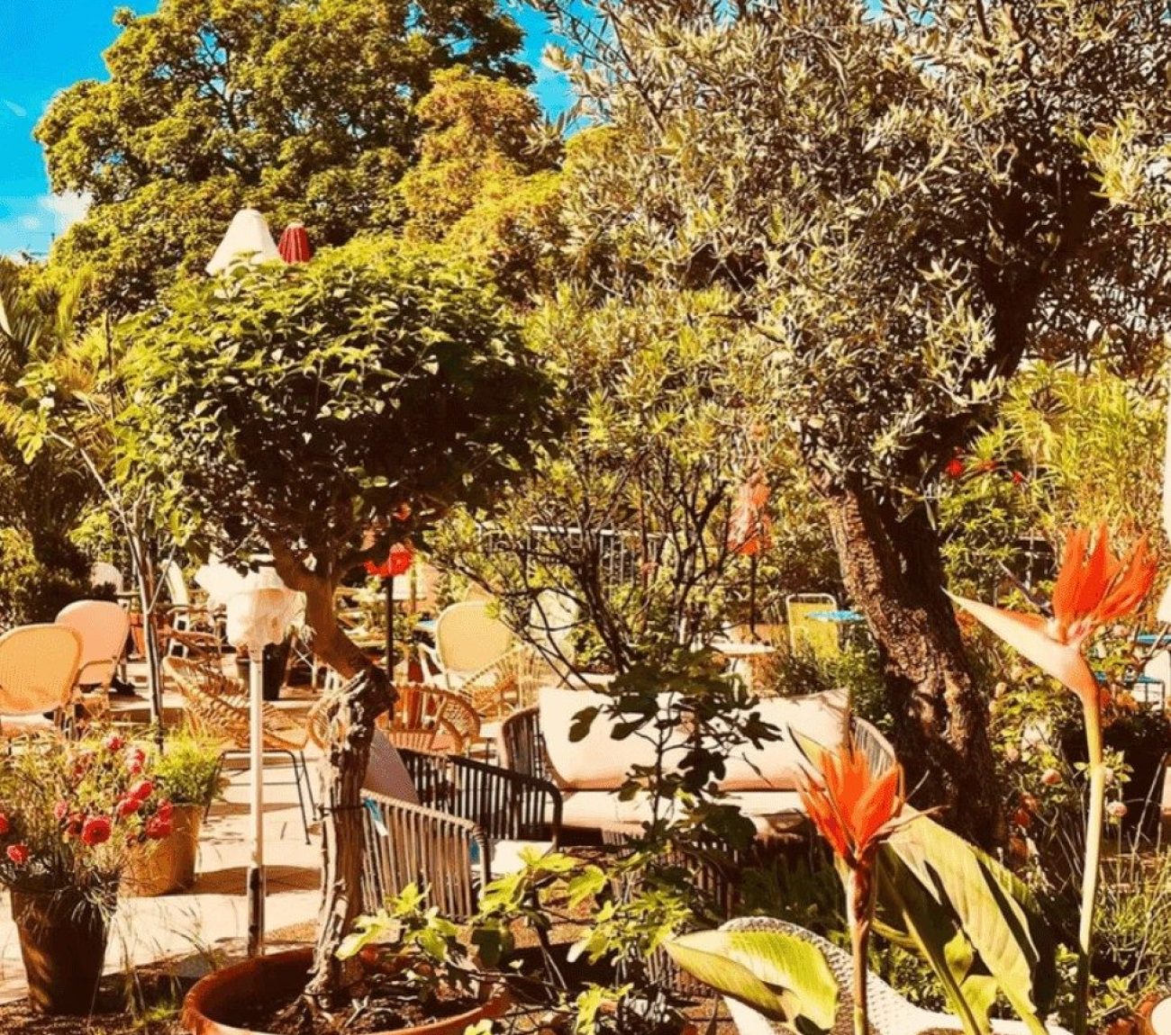 Cafe Leye Dachterrasse