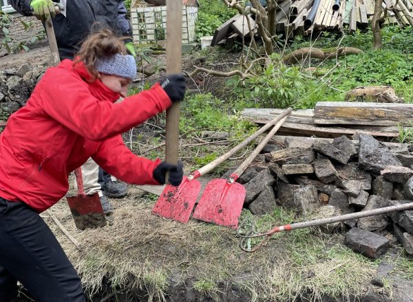 Bau eines Mauerbiotops
