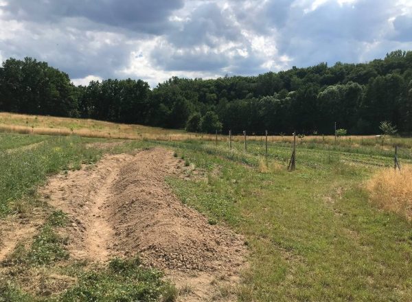 IMAGE 2022-07-02 18_30_52