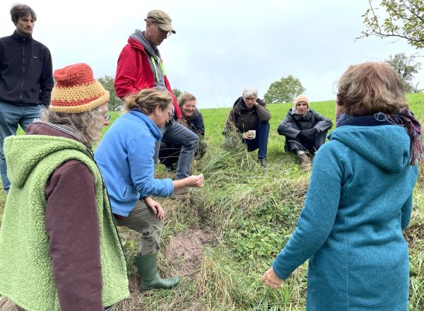 Wahrnehmung: Pflanzen in der Landschaft