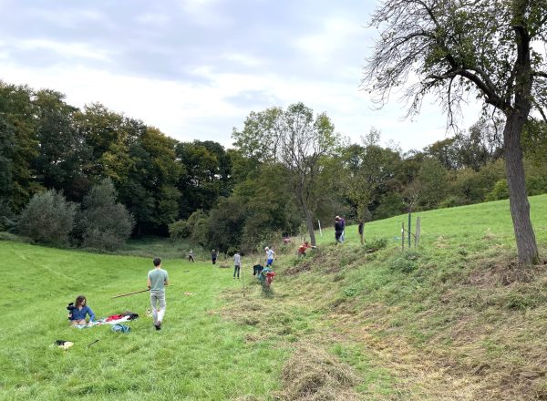 Arbeit am Saumbiotop