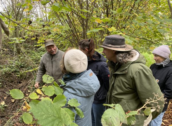 Wahrnehmung im Haselwälchen