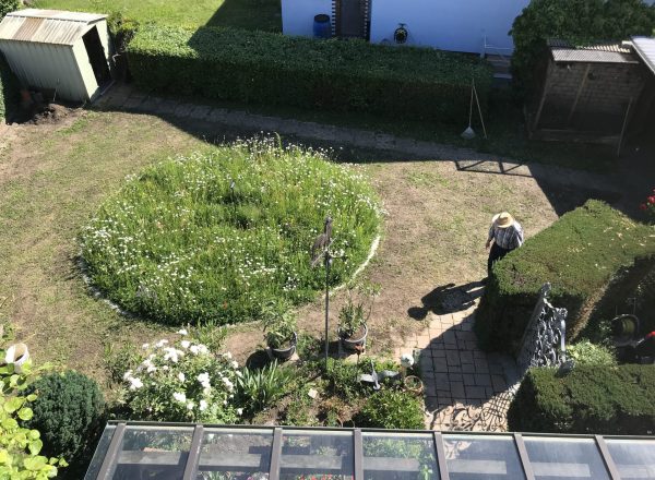 Artenreiche Mähwiese