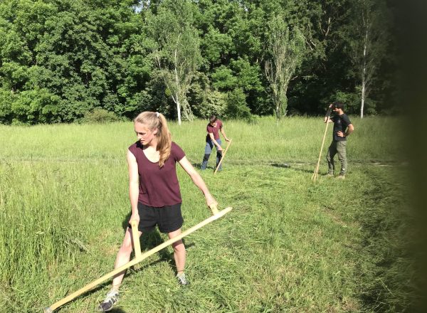 Mähen mit der Sense