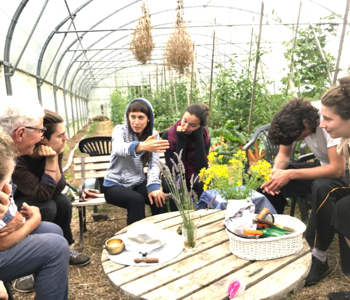 Im Gewächshaus mit Gestik