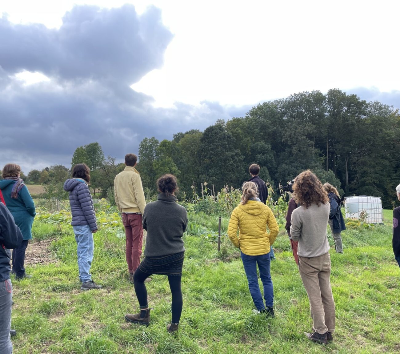 Regenerations-Training Hof Weinberg 8