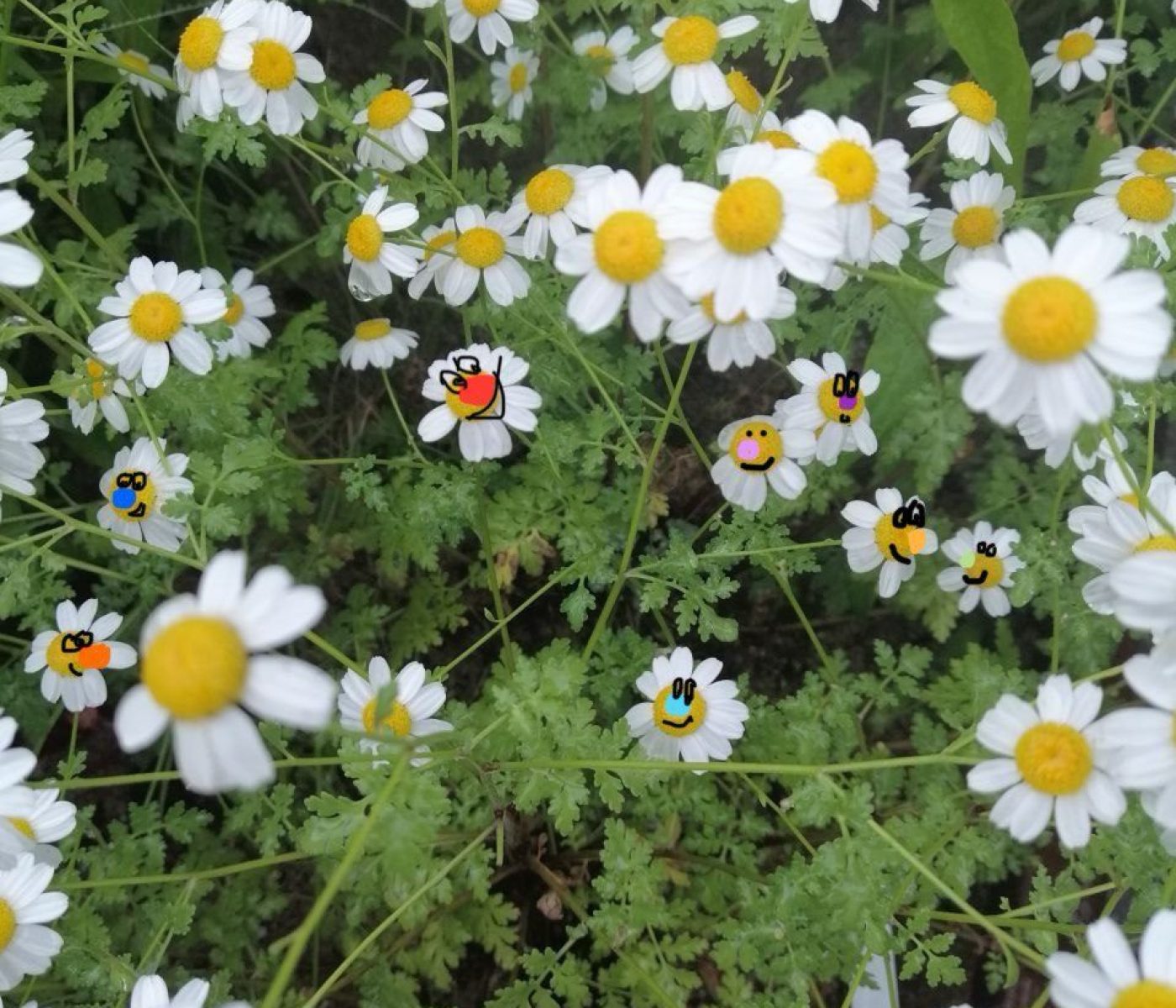 photo_2025-04-30_14-34-53